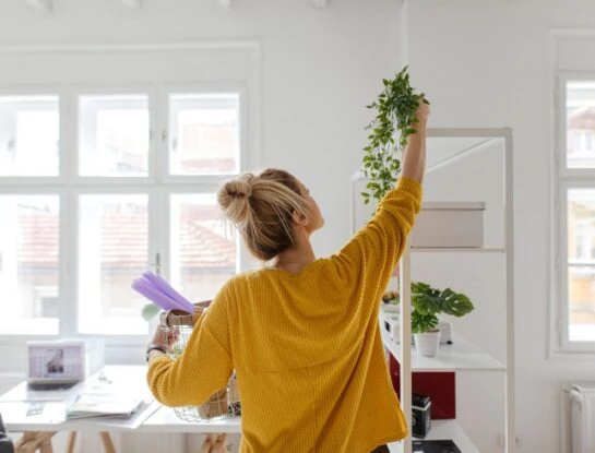 Decorar brinda felicidad: 10 razones que te demuestran por qué