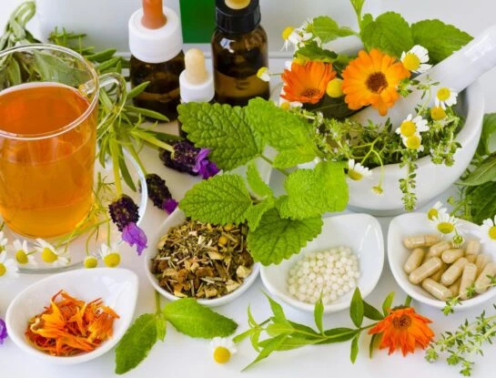9 plantas medicinales que podés cultivar en tu jardín