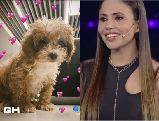 Así fue el emotivo reencuentro de Romina de Gran Hermano con Caramelo, el perrito que adoptó
