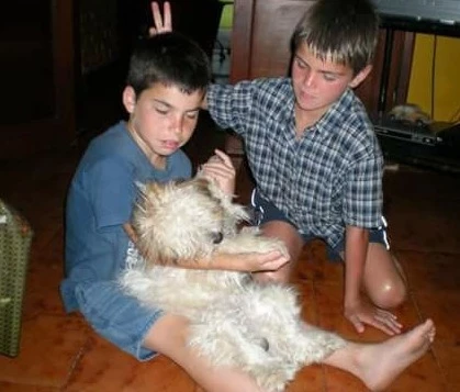 Familia de Marcos Ginocchio