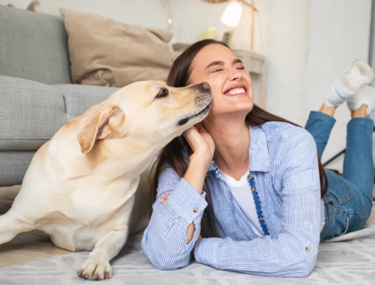 5 señales que indican quién es la persona favorita de tu perro