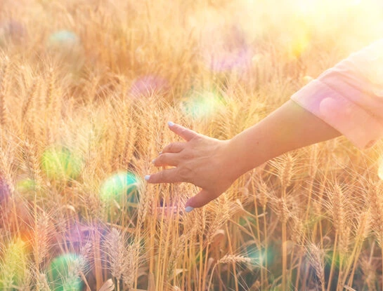 Coaching: aprender a frenar, validar lo que siento, escuchar a mi cuerpo