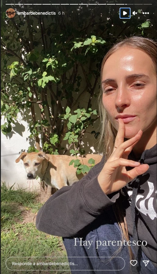 Ámbar de Benedictis