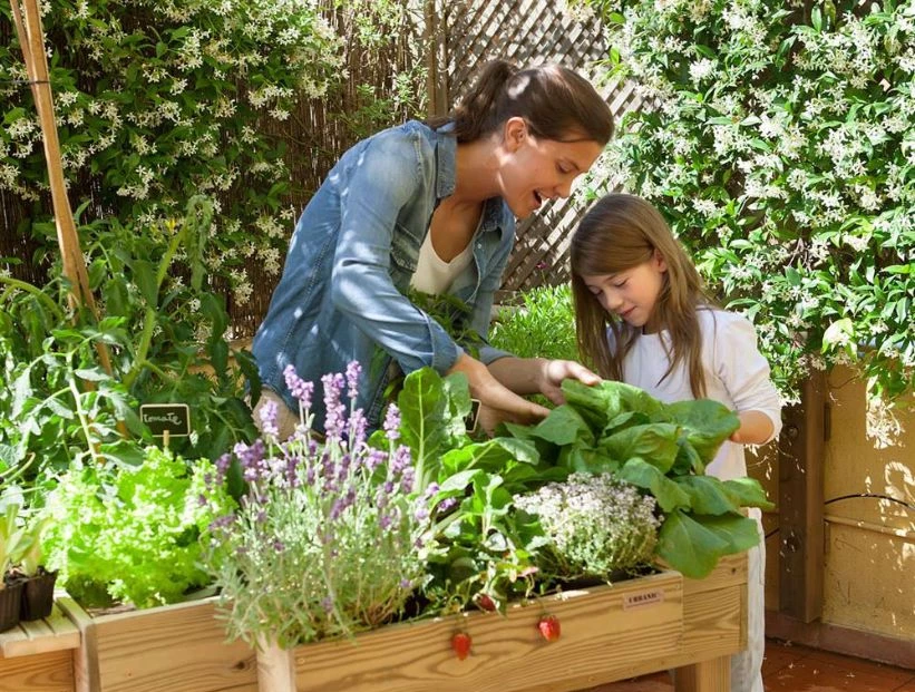 Qué sembrar en la huerta en abril en Argentina