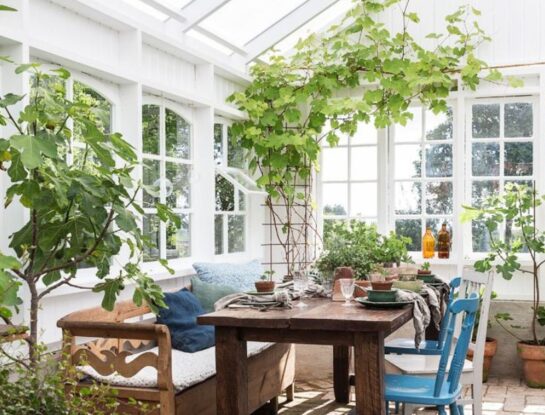 Cómo armar un jardín de invierno en casa
