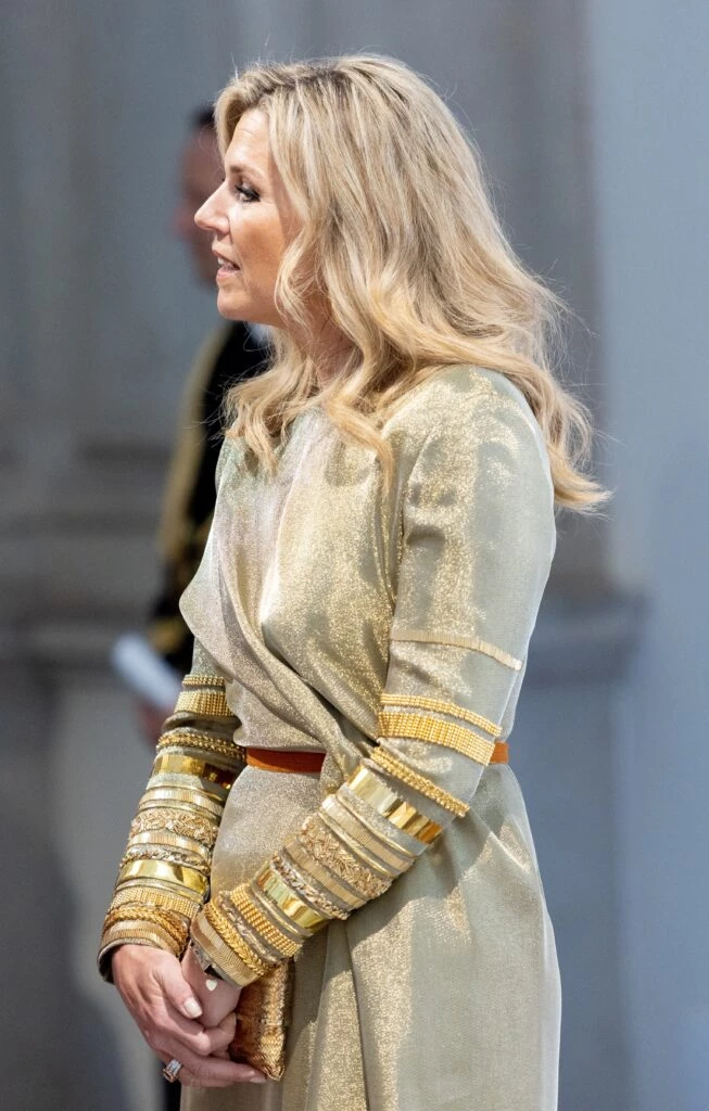 look metalizado Máxima Zorreguieta