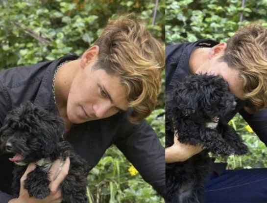 Las primeras fotos de Marcos Ginocchio con Morita en Salta: la sorpresa con la que se encontró la perrita al llegar