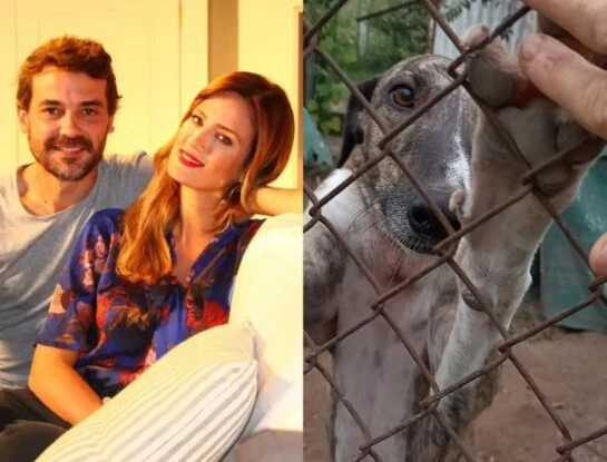La historia de Matilda, la perra que rescataron Paula Chaves y Pedro Alfonso