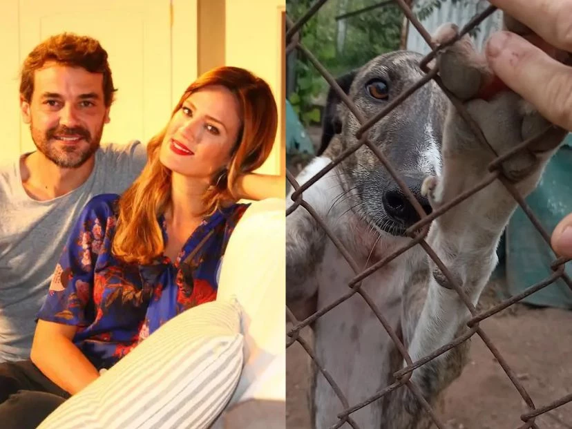 La historia de Matilda, la perra de Paula y Pedro