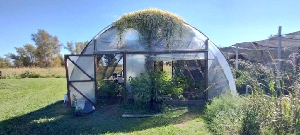 Vivero Villa Paranacito