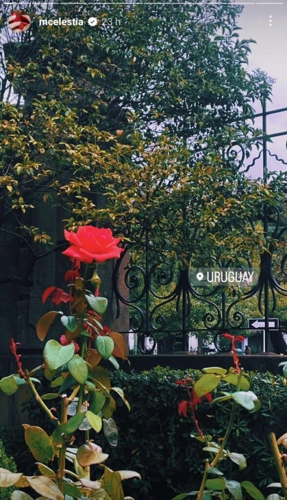 El nuevo romance de Celeste Cid