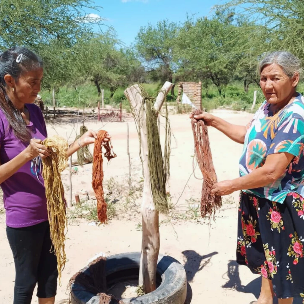 Las artesanas ponen las fibras a secar al sol luego de pasarla por teñidos naturales