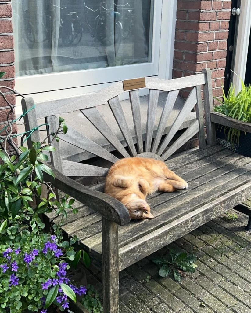 Delfina Chaves en Amsterdam