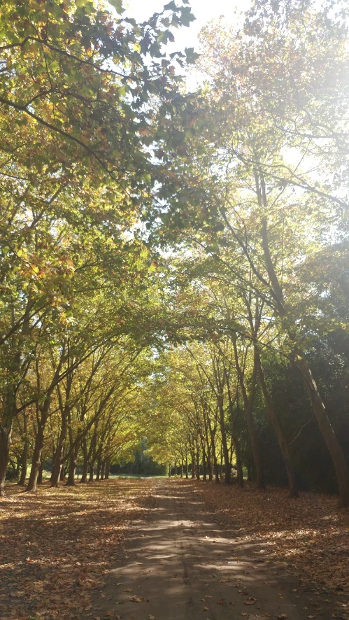 Estancia La Concepción de la familia Blaquier