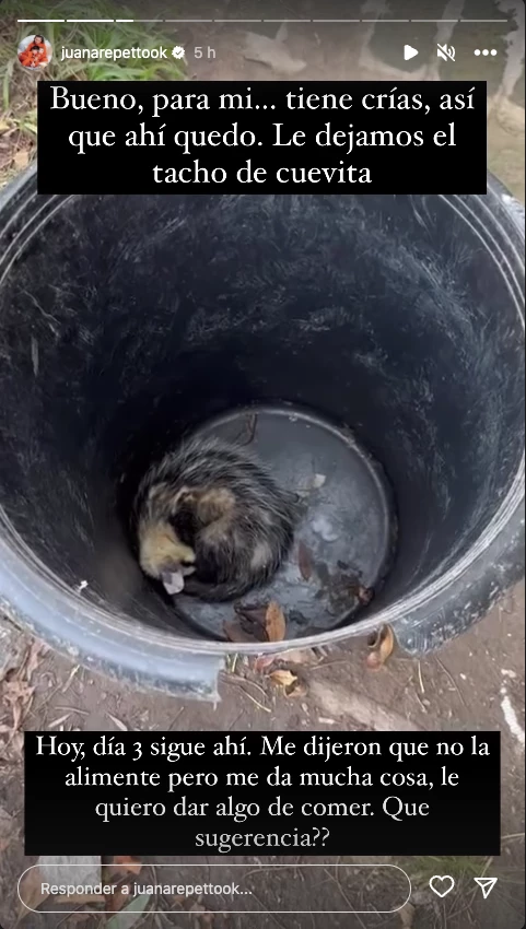 Juana Repetto mostró una comadreja que está viviendo en su casa.