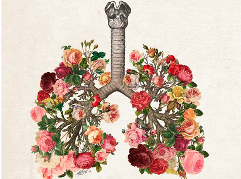 <strong>5 de mayo: Día Mundial de la Hipertensión Pulmonar</strong>