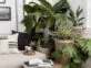 7 plantas de estilo tropical que están de moda para decorar tu casa