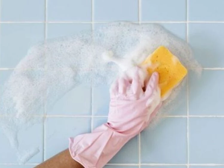 Cómo limpiar las manchas de humedad de las paredes y el techo – Revista  Para Ti