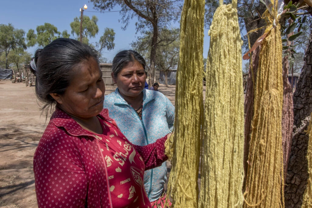 Las artesanas ponen las fibras a secar al sol luego de pasarla por teñidos naturales