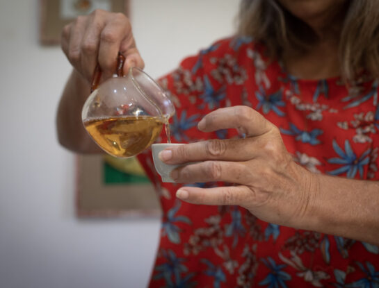 Turismo: el Camino del Té, un nuevo atractivo en el sur misionero