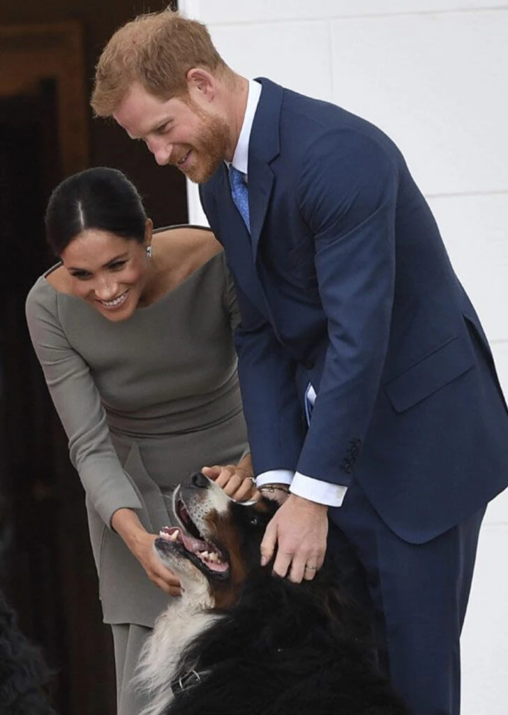 Los duques de Sussex siguen dando mucho de qué hablar. Foto: Pinterest.