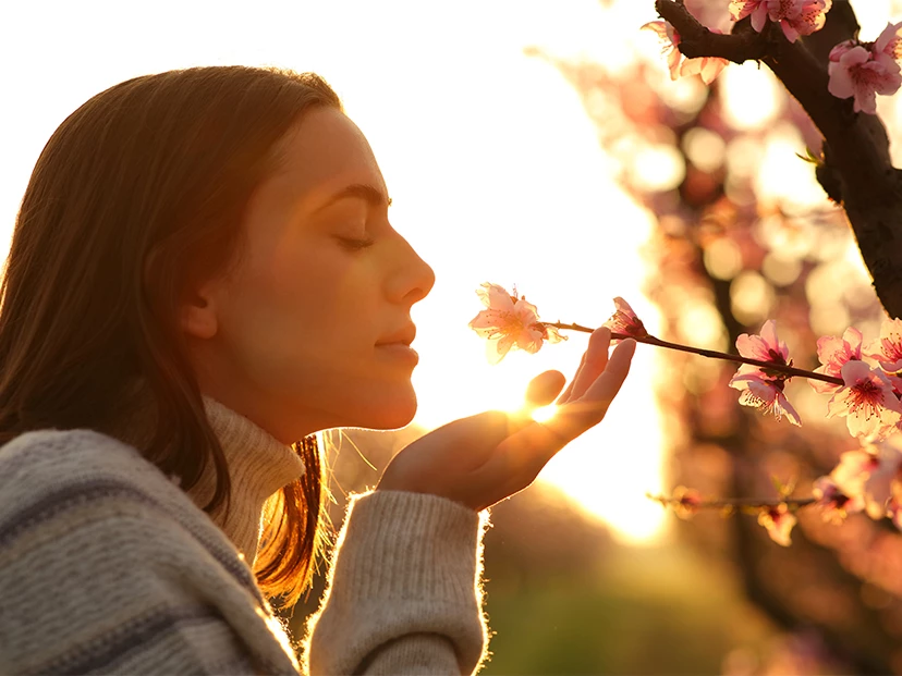 aroma ideal segun signo del zodiaco
