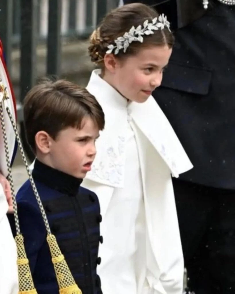 coronacion carlos iii principe george, princiesa charlotte y principe louis