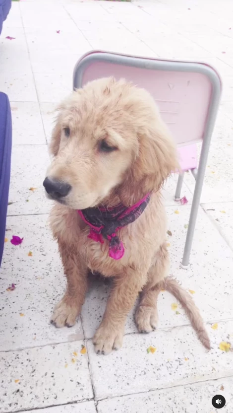 Vero Lozano con Chopper