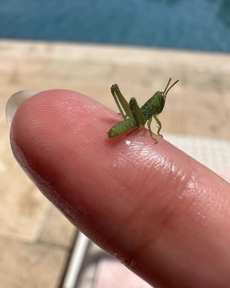 El Chino Darín y Úrsula Corberó de vacaciones en Menorca