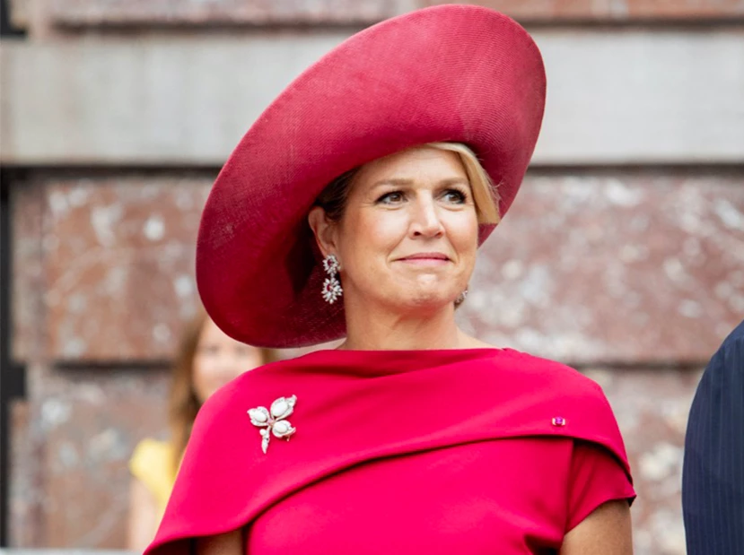 Look Máxima monocolor