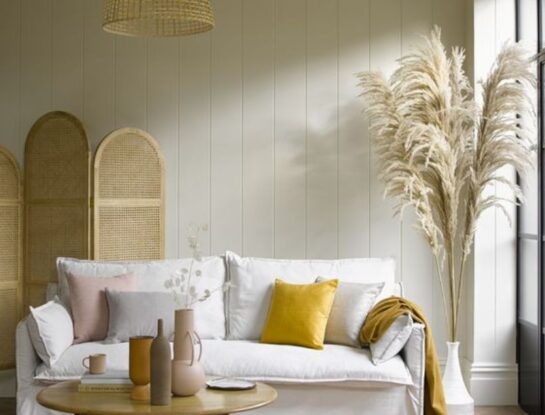 Plumas de pampa: la planta favorita para decorar la casa en invierno