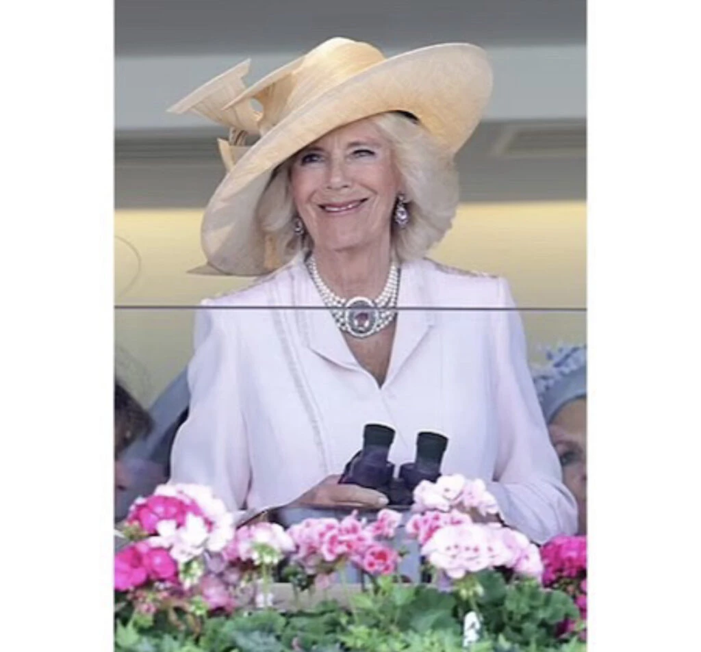 La Reina Camilla recicló vestido y sorprendió. Foto: Instagram.