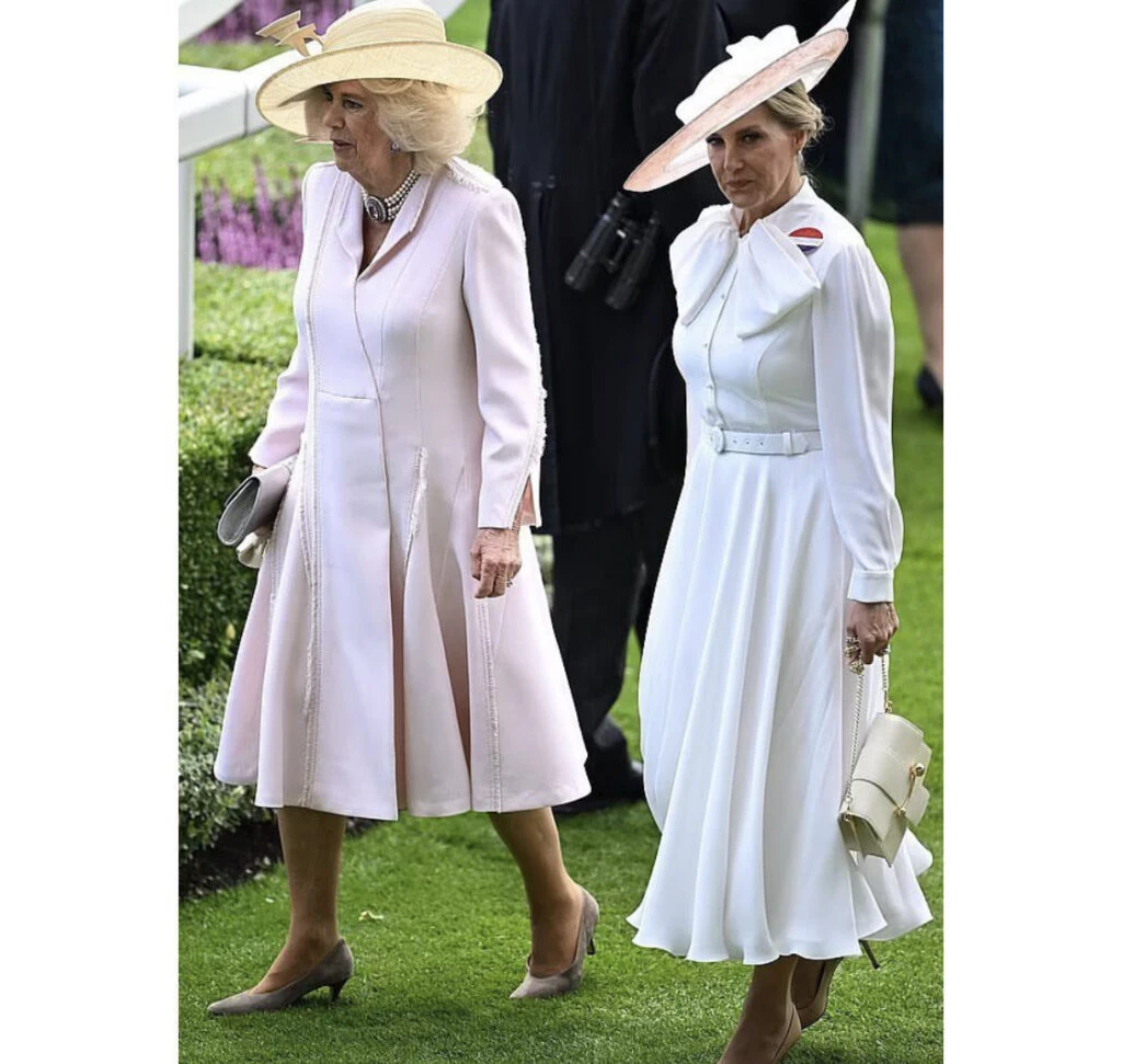 La Reina Camilla recicló vestido y sorprendió. Foto: Instagram.