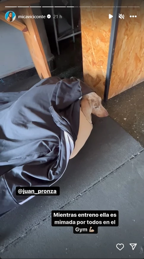 Mica Viciconte fue a entrenar con Rufi, la mascota de Indiana