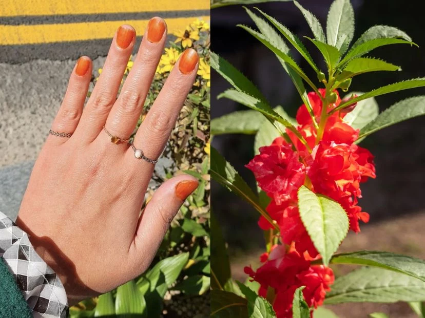 Técnica de manicuría balsam dye