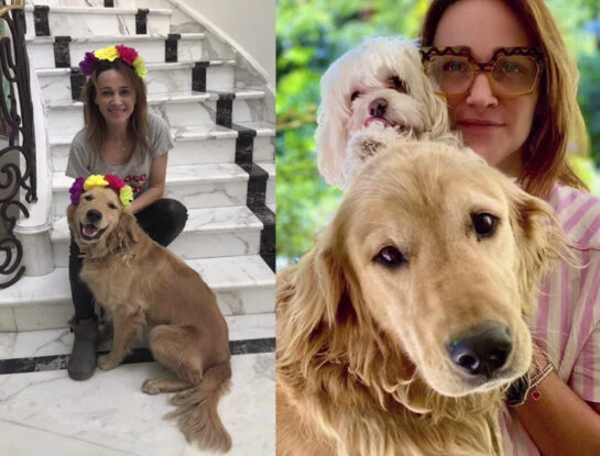 El emotivo mensaje de Vero Lozano despidiendo a una de sus mascotas: "Te imagino en el cielo de los perros"