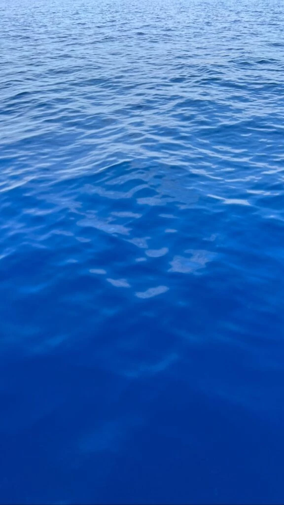 vacaciones chino darin y ursula corbero