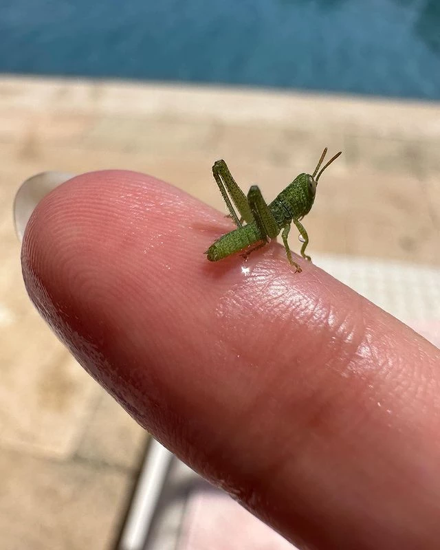 vacaciones chino darin y ursula corbero