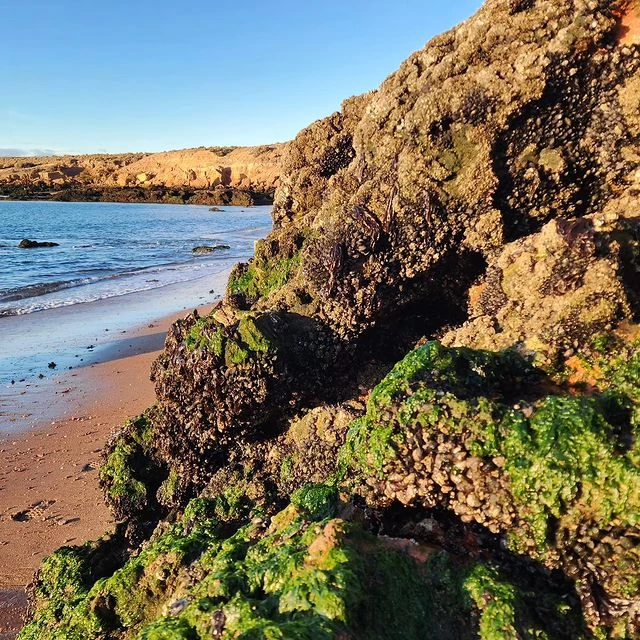 Juana Viale en Caleta Patón