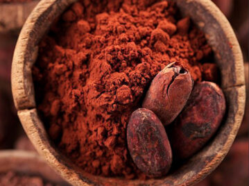 Dia Mundial del cacao