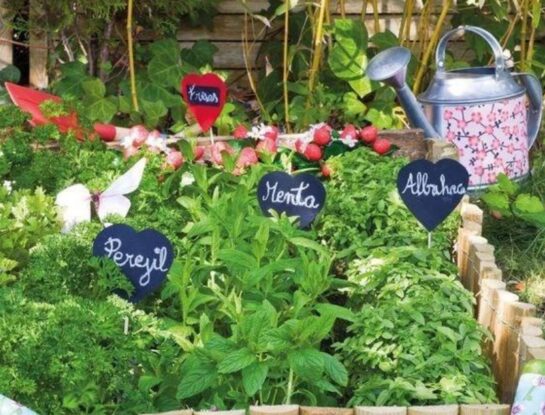 Huerta en casa: plantas aromáticas que podés cultivar este invierno