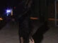 El look super fashionista que Natalia Oreiro llevó a Noche al Dente