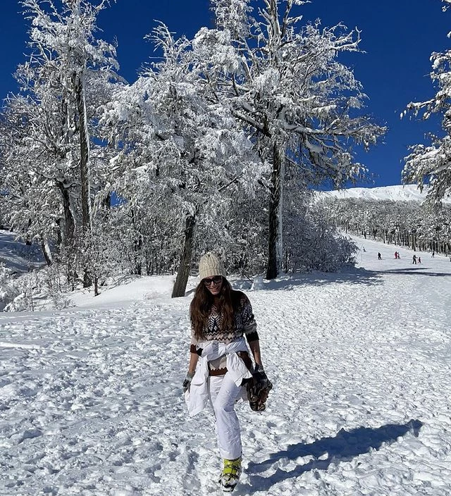 Flor de la V en San Martín de los Andes