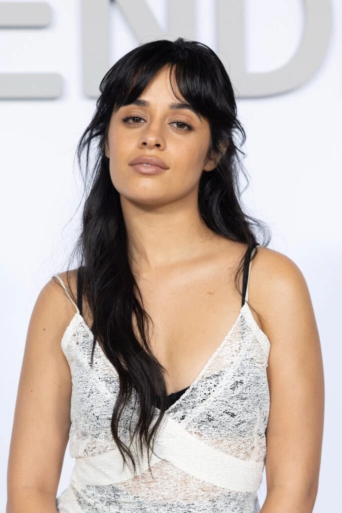 camila cabello fendi
