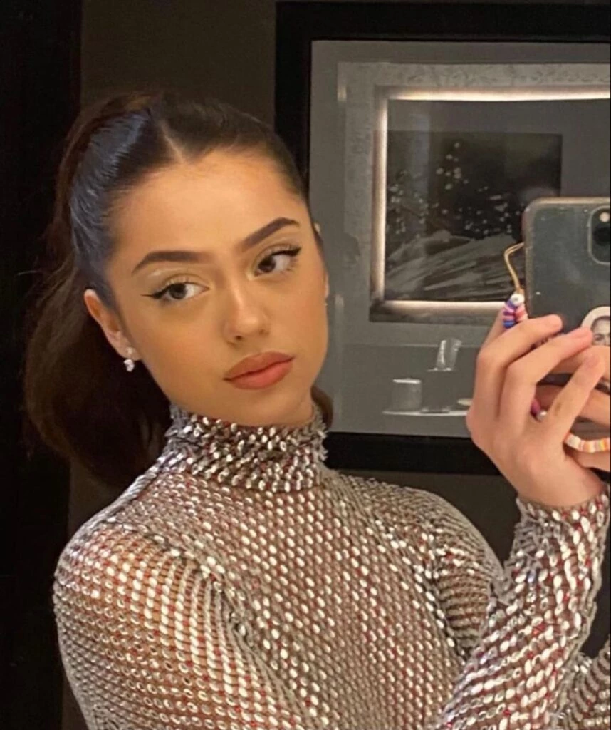  ideas de cola de caballo, el peinado más simple y estiloso