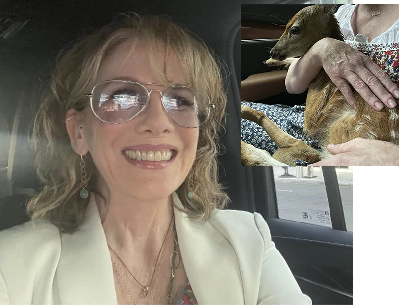 melissa gilbert y el ciervo