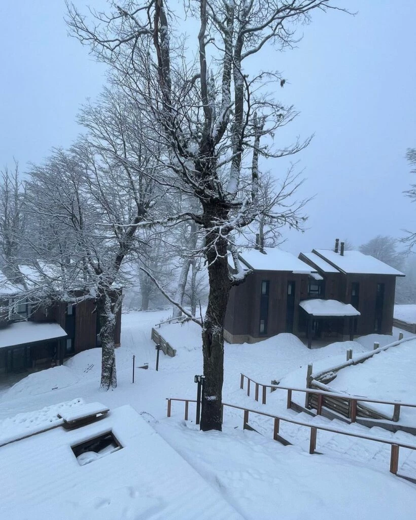 Marcela Kloosterboer de vacaciones en el sur con sus hijos Juana y Otto