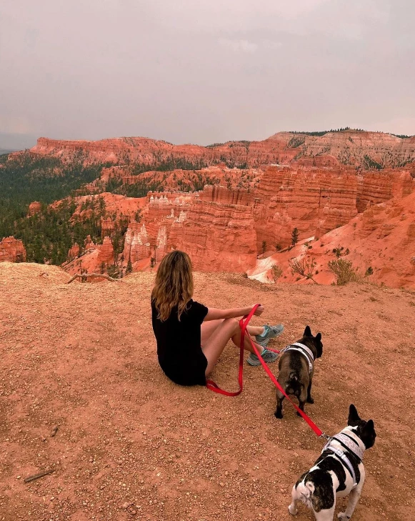 Summer Crosley con sus perros