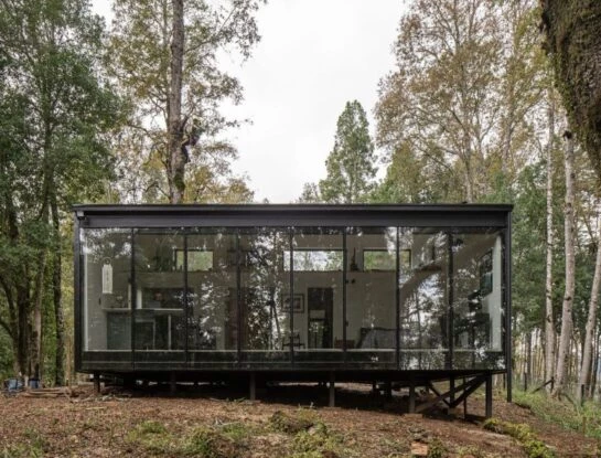 Para enamorarse: una mini casa en el medio de un bosque en Chile