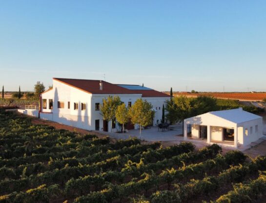 Una casa blanca y minimalista en medio de un viñedo